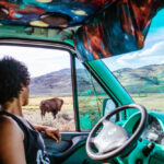 A woman driving through Yellowstone National Park on vacation.